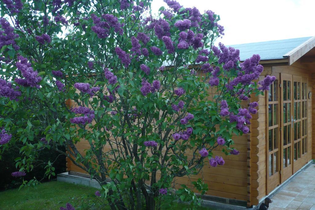Pension-Jakobs Nachtsheim Εξωτερικό φωτογραφία